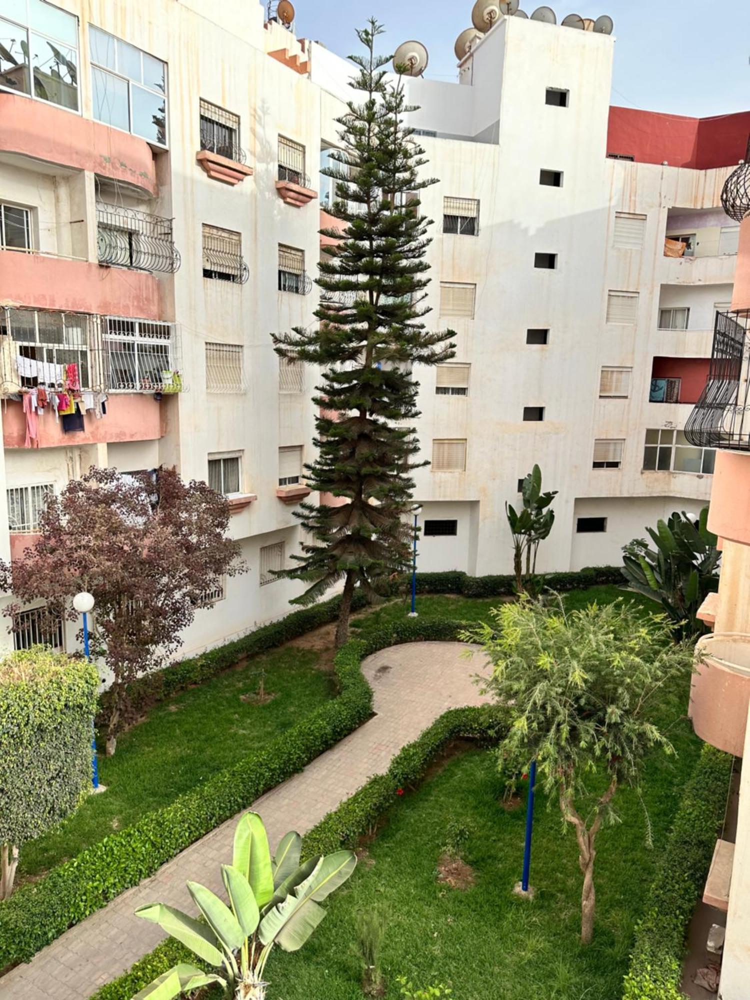 Lapatchi